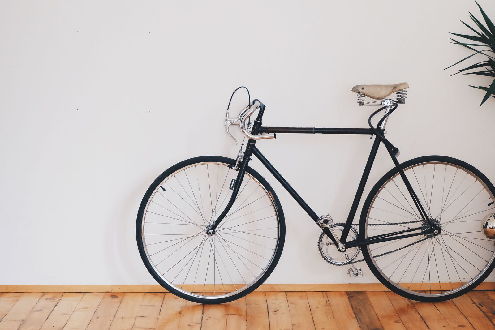 Road bicycle on pavement